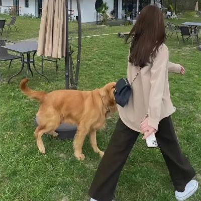 猴子捞月